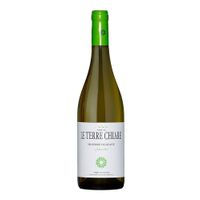 Catarratto Selezione Vigne Alte