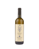 2022 Sauvignon